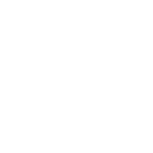 Fonts Inc